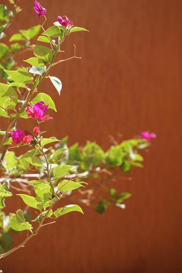 Berber Nomad Kasbah Bed & Breakfast เอ็นค็อบ ภายนอก รูปภาพ